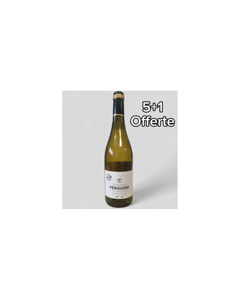IGP Vin Pays Perigord Blanc Sauvignon 75cl
