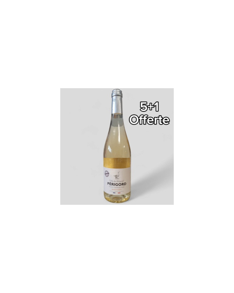 IGP Vin Pays Perigord Blanc Moelleux 75cl
