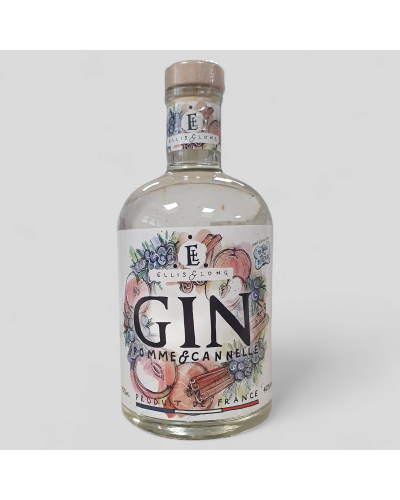 Gin Pomme Cannelle 40° 70cl