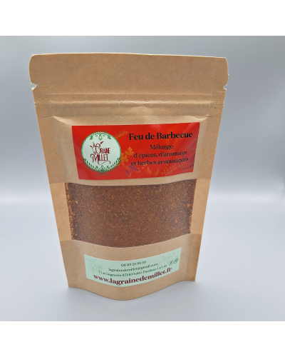 Z-Feu de barbecue 50gr