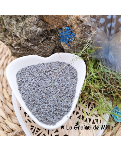 Z-Pavot bleu 50gr