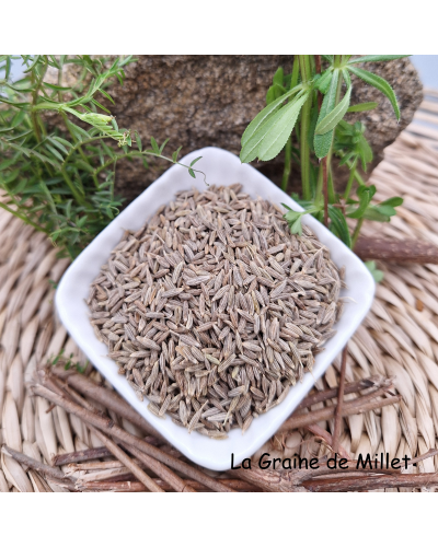 Z-Cumin grains 50gr