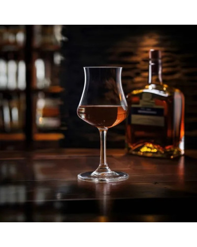 Verre à Rhum Santiago 17cl 5194